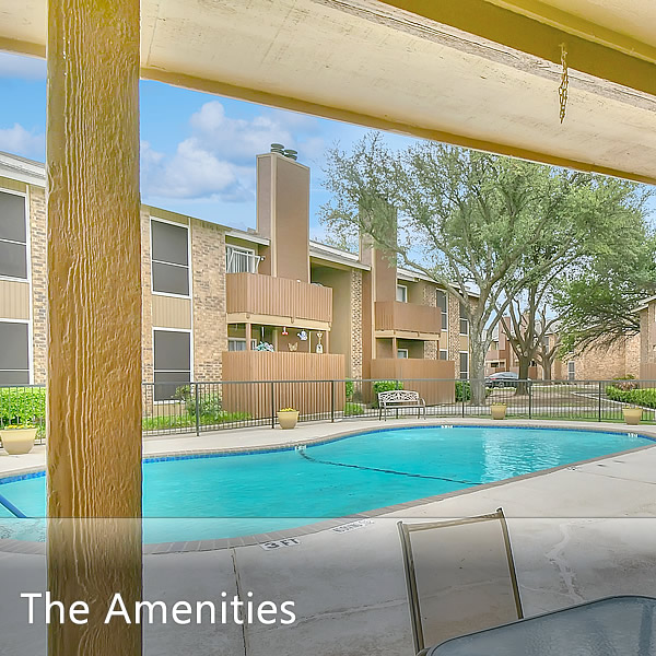 Features and Amenities